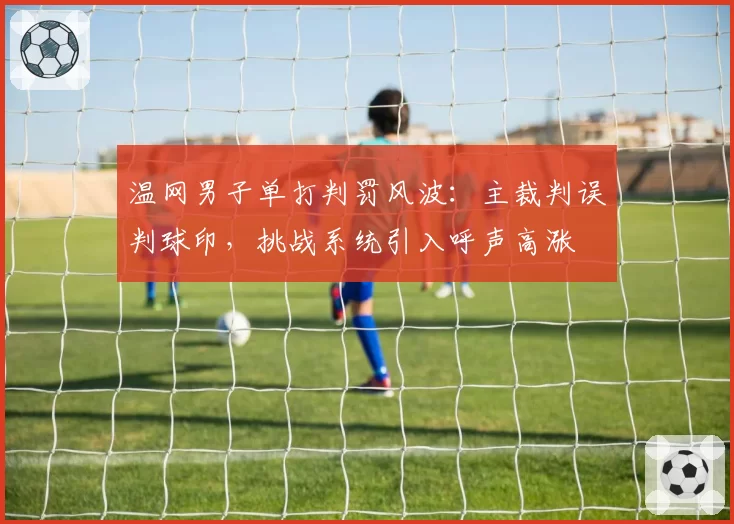 温网男子单打判罚风波：主裁判误判球印，挑战系统引入呼声高涨