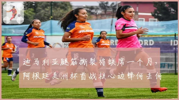 迪马利亚腿筋撕裂将缺席一个月，阿根廷美洲杯首战核心边锋何去何从？