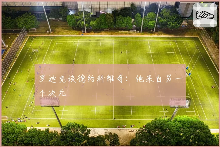 罗迪克谈德约科维奇：他来自另一个次元
